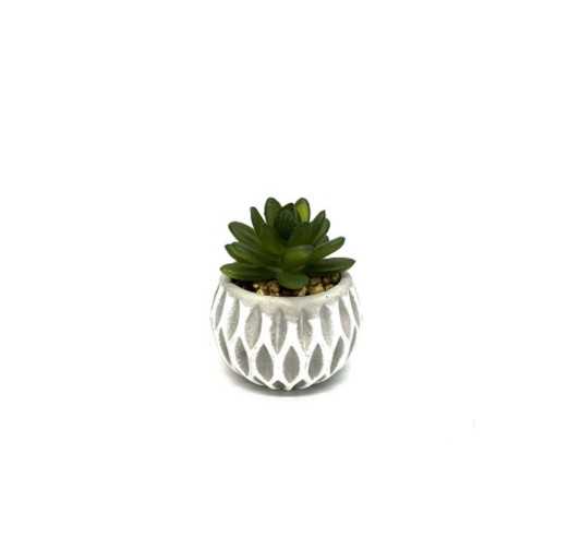 PLANTE ARTIFICIELLE DANS SON︱Lory
