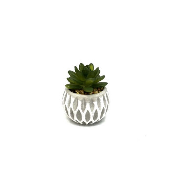PLANTE ARTIFICIELLE DANS SON︱Lory